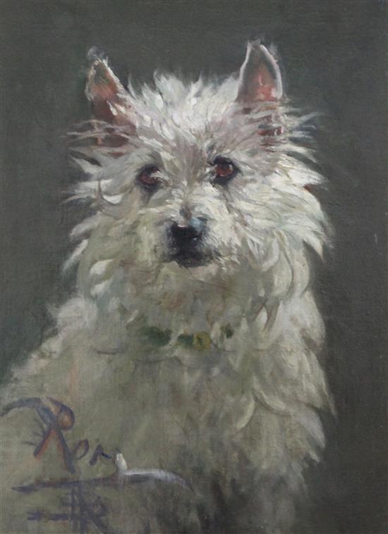 Nathaniel Hughes John Baird (1865-1936) Rory a study of a Highland Terrier 15.5 x 11.5in.
